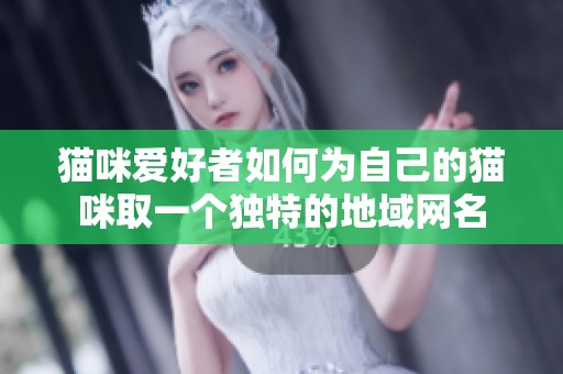 猫咪爱好者如何为自己的猫咪取一个独特的地域网名