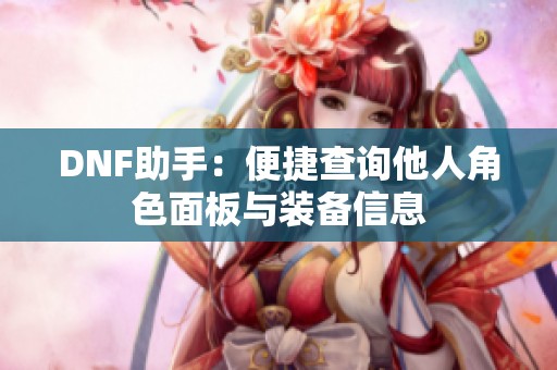DNF助手：便捷查询他人角色面板与装备信息