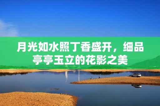 月光如水照丁香盛开，细品亭亭玉立的花影之美