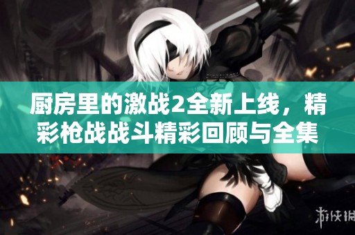 厨房里的激战2全新上线，精彩枪战战斗精彩回顾与全集观看指南