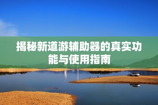 揭秘新道游辅助器的真实功能与使用指南