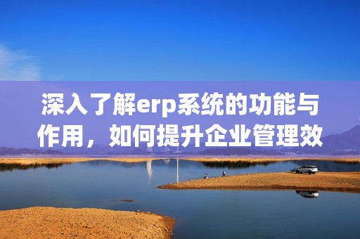深入了解erp系统的功能与作用，如何提升企业管理效率