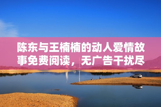 陈东与王楠楠的动人爱情故事免费阅读，无广告干扰尽享小说乐趣