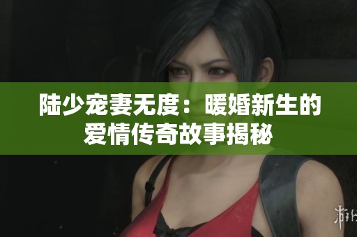陆少宠妻无度：暖婚新生的爱情传奇故事揭秘