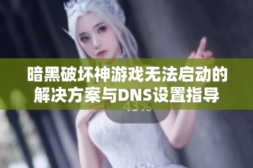 暗黑破坏神游戏无法启动的解决方案与DNS设置指导
