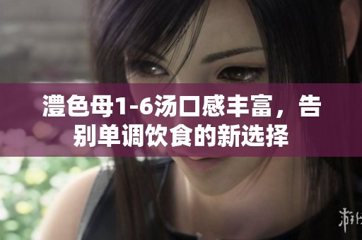澧色母1-6汤口感丰富，告别单调饮食的新选择