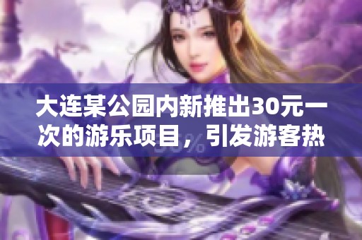 大连某公园内新推出30元一次的游乐项目，引发游客热议