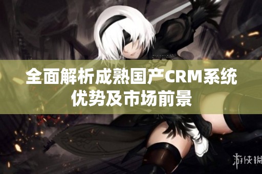 全面解析成熟国产CRM系统优势及市场前景