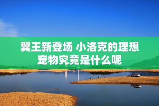 翼王新登场 小洛克的理想宠物究竟是什么呢