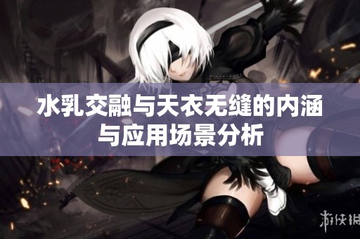 水乳交融与天衣无缝的内涵与应用场景分析