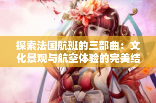探索法国航班的三部曲：文化景观与航空体验的完美结合