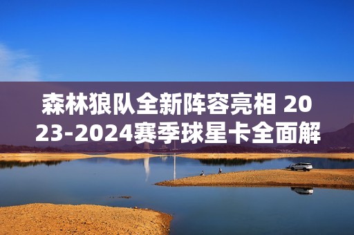 森林狼队全新阵容亮相 2023-2024赛季球星卡全面解析