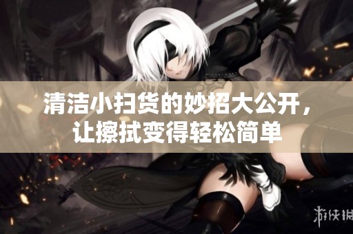 清洁小扫货的妙招大公开，让擦拭变得轻松简单