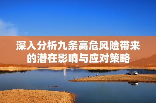 深入分析九条高危风险带来的潜在影响与应对策略