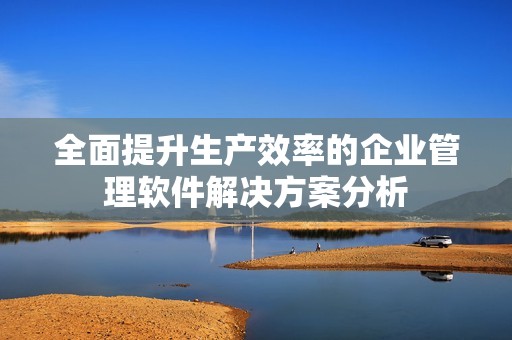 全面提升生产效率的企业管理软件解决方案分析