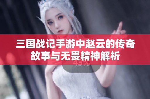 三国战记手游中赵云的传奇故事与无畏精神解析