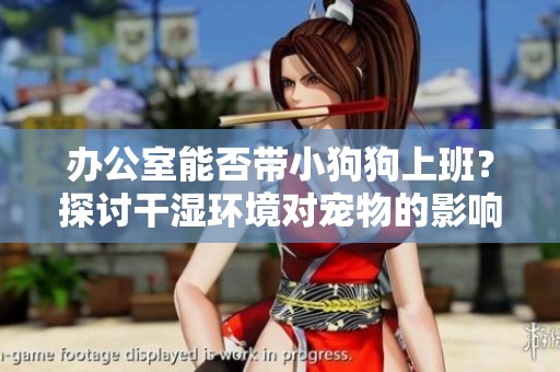 办公室能否带小狗狗上班？探讨干湿环境对宠物的影响