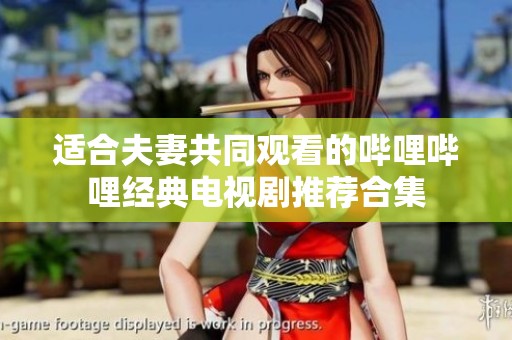 适合夫妻共同观看的哔哩哔哩经典电视剧推荐合集