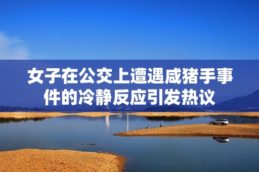 女子在公交上遭遇咸猪手事件的冷静反应引发热议