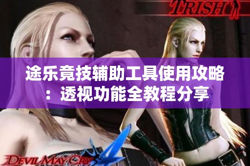 途乐竟技辅助工具使用攻略：透视功能全教程分享