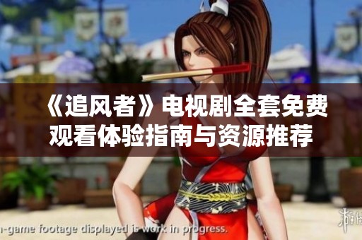 《追风者》电视剧全套免费观看体验指南与资源推荐