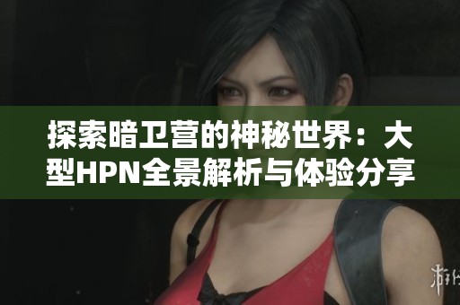 探索暗卫营的神秘世界：大型HPN全景解析与体验分享