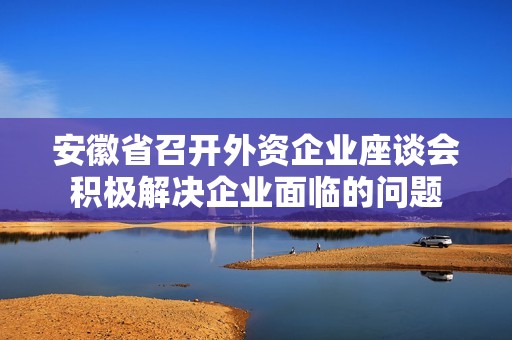 安徽省召开外资企业座谈会积极解决企业面临的问题