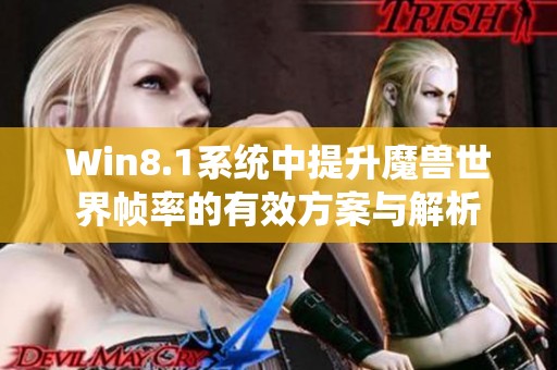 Win8.1系统中提升魔兽世界帧率的有效方案与解析