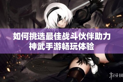 如何挑选最佳战斗伙伴助力神武手游畅玩体验