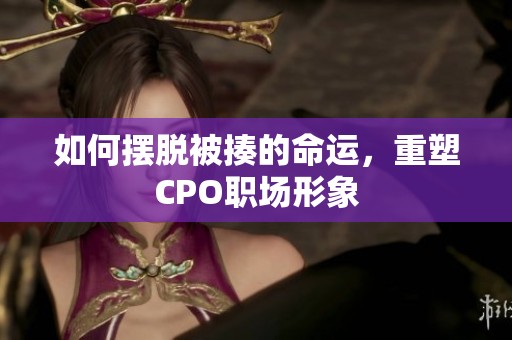如何摆脱被揍的命运，重塑CPO职场形象