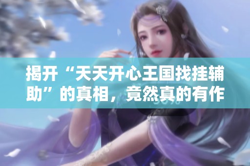 揭开“天天开心王国找挂辅助”的真相，竟然真的有作弊工具
