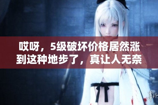 哎呀，5级破坏价格居然涨到这种地步了，真让人无奈！