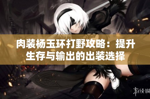 肉装杨玉环打野攻略：提升生存与输出的出装选择