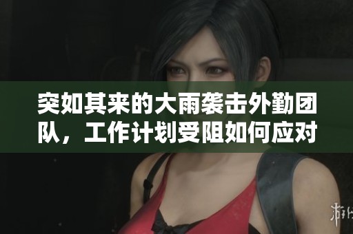 突如其来的大雨袭击外勤团队，工作计划受阻如何应对