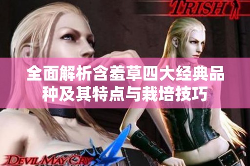 全面解析含羞草四大经典品种及其特点与栽培技巧