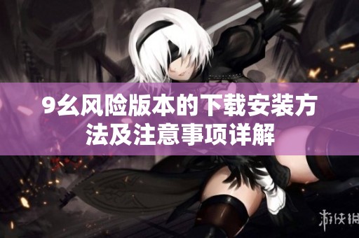 9幺风险版本的下载安装方法及注意事项详解