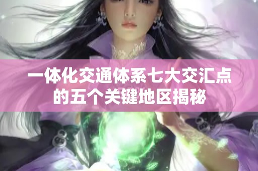 一体化交通体系七大交汇点的五个关键地区揭秘