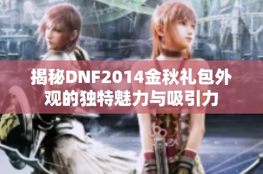 揭秘DNF2014金秋礼包外观的独特魅力与吸引力