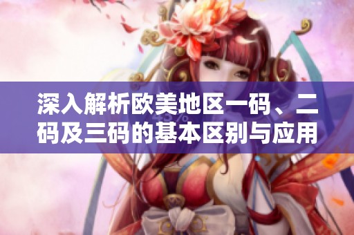 深入解析欧美地区一码、二码及三码的基本区别与应用