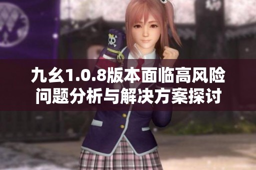 九幺1.0.8版本面临高风险问题分析与解决方案探讨