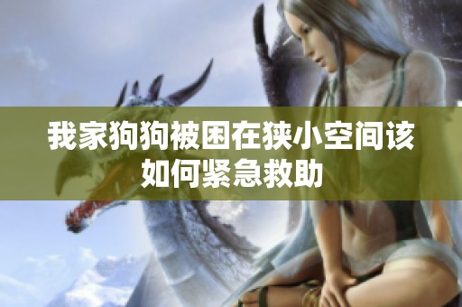 我家狗狗被困在狭小空间该如何紧急救助