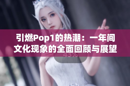 引燃Pop1的热潮：一年间文化现象的全面回顾与展望