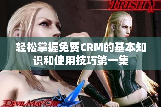 轻松掌握免费CRM的基本知识和使用技巧第一集