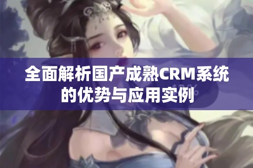 全面解析国产成熟CRM系统的优势与应用实例