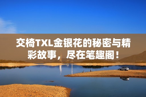 交椅TXL金银花的秘密与精彩故事，尽在笔趣阁！