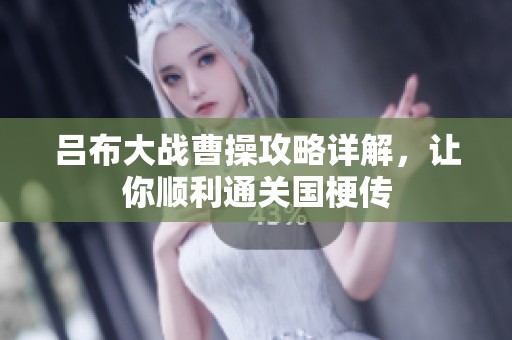 吕布大战曹操攻略详解，让你顺利通关国梗传