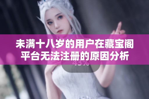 未满十八岁的用户在藏宝阁平台无法注册的原因分析