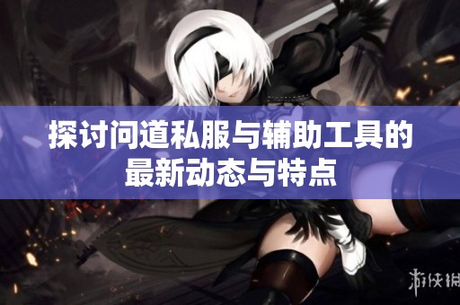 探讨问道私服与辅助工具的最新动态与特点