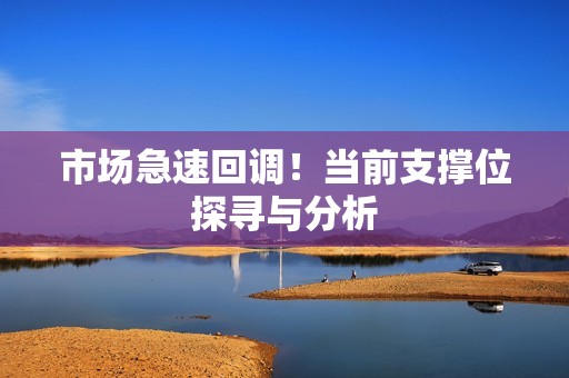 市场急速回调！当前支撑位探寻与分析