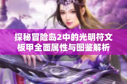 探秘冒险岛2中的光明符文板甲全面属性与图鉴解析